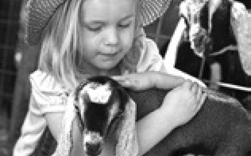 North Dakota 4-H Foundation awards 13 scholarships
