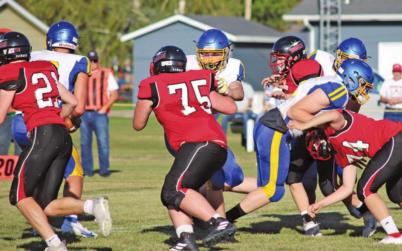Bombers host Tigers last Saturday Stats not available