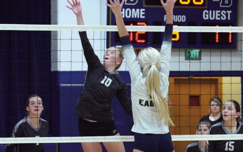 Season ends for dve Volleyball