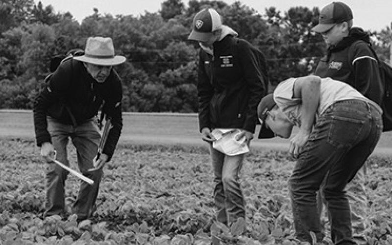 Youth will engage in hands-on experiences to learn about agronomy and explore potential careers at the NDSU Extension Junior Crop Scout School. (NDSU photo)
