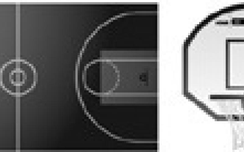 Alt Text for Image