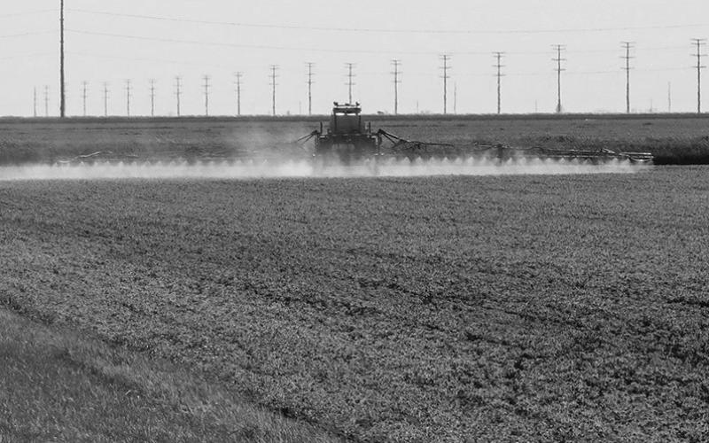 Chlorpyrifos insecticide products legal for insect control in 2024