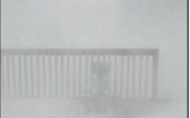 Lisa Staskivige shared this photo of white-out conditions at her home.