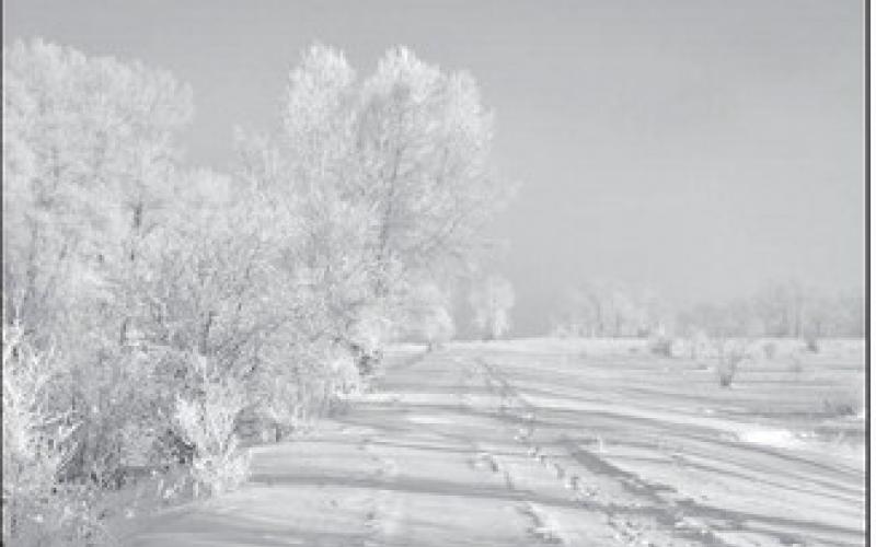 Dakota Gardener: Winter is life and death for plants
