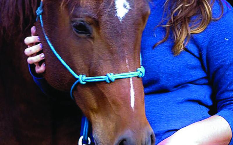 Jessie Bailey was awarded PATH Intl. Equine Caretaker of the Year. (NDSU photo) healthy and happy.”