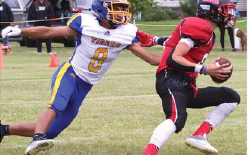 Gavin Ryan breaks free from a would be Trenton tackler.
