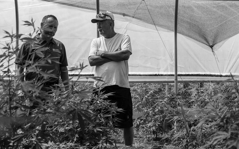 Jeff Garland, right, gives a tour of Papa G’s Organic Hemp Farm in Crawford County, Indiana, on June 23, 2022. Jeff and his son started the farm in 2020. At left is Lee Schnell of the U.S. Natural Resources Conservation Service, which is part of the U.S. Department of Agriculture. (NRCS photo by Brandon O’Connor)