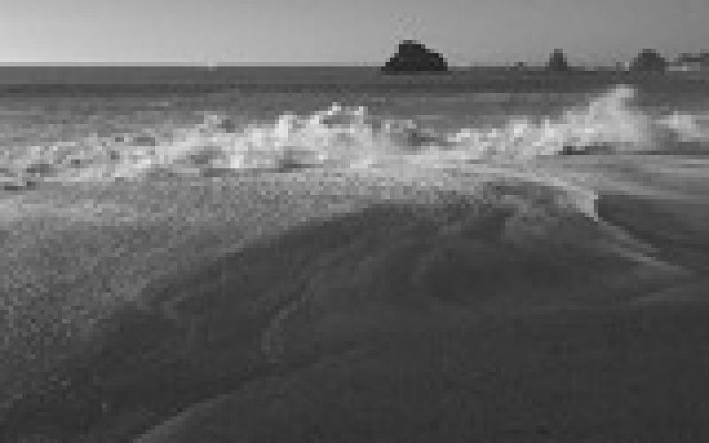 Goat Rock Beach in California. Photo by Clint Van Camp.