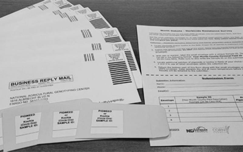 North Dakota Herbicide Resistant Weed Survey kits can be picked up at your county NDSU Extension office or you can obtain a submission form from the NAGC website. NDSU photo