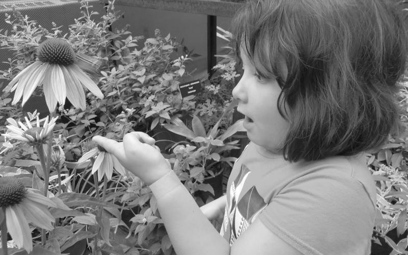 A pollinator garden that attracts butterflies and bees can create a sense of wonder and connect youth with nature. NDSU photo.