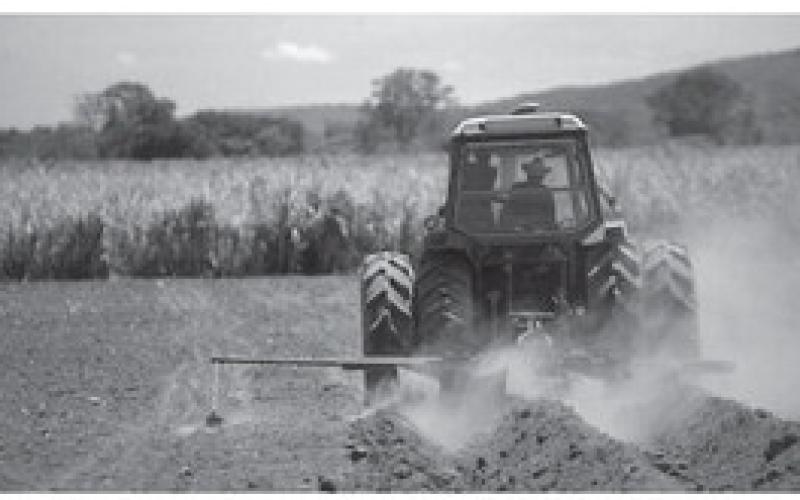 100 Years of Farmall
