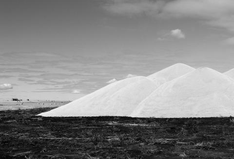 Grain placed in piles needs to stay dry and cool. Photo by Brad Smith