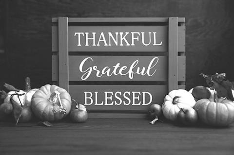 Prairie doc perspective: Giving thanks