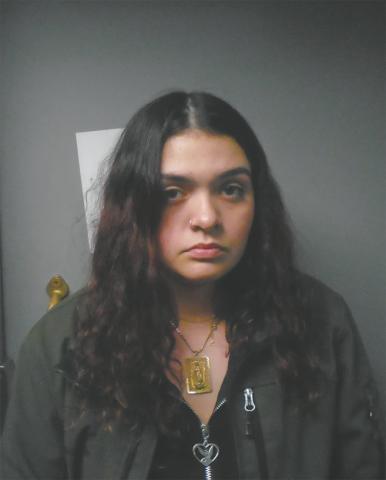 Grand Forks woman arrested for assault, terrorizing in Park River