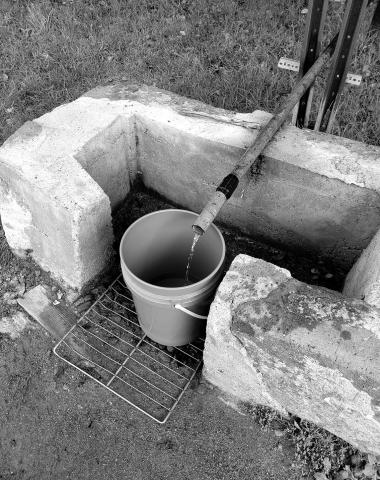 Alt Text for Image