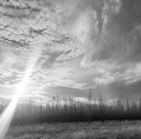 Along the way | Nature’s knowledge