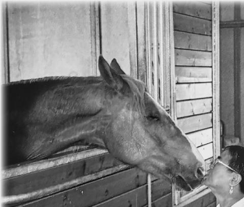 Reiko, from a wheel chair, greets Ginger at a friend’s horse ranch in Northern California. Photo submitted by Clint Van Camp