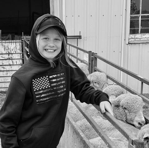 Sheep production offers youth an opportunity to grow a business, learn record keeping and manage finances. (NDSU photo)