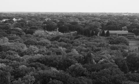 The urban forest canopy is an investment in this North Dakota community. NDSU photo