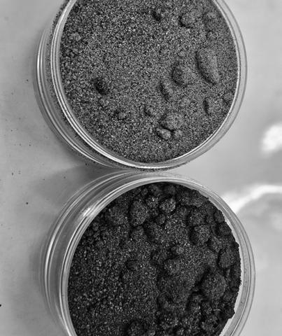 The above soil sample has less soil organic matter than the bottom soil sample due to management. (NDSU photo)