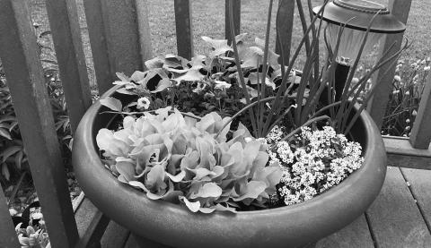 Container gardening is a great way to supplement in-ground or raised bed production. NDSU photo