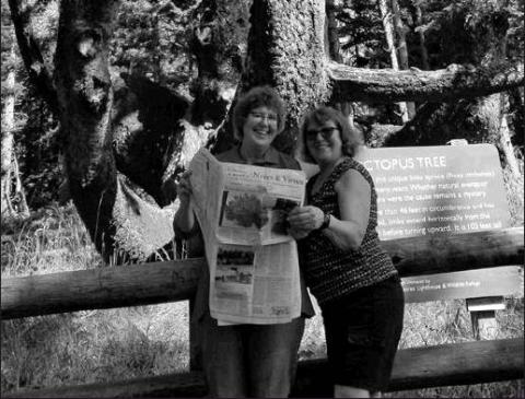 Doris Kirkeby Rodrigues reading Valley News & Views in front of the Octopus Tree at Cape Meat Oregon Coast. Photo submitted