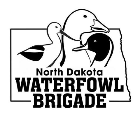 Youth Conservation and Leadership Summer Camp