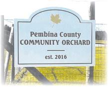 The Pembina County Community Orchard was established in 2016 on the grounds of the Pembina County Historical Museum in Cavalier, N.D.