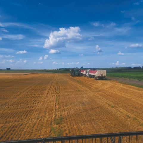 It’s harvest time in the Valley