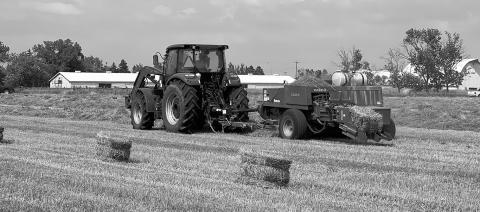 If moisture content is not down to the proper level prior to baling, heat damage can occur. (NDSU photo)