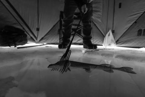 Number of registered spearers in North Dakota is so much smaller compared to the crowds who flock to summer fishing. Photo by Ashley Peterson, NDGF.