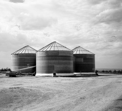 Stored grain should be monitored closely to detect any storage problems early.