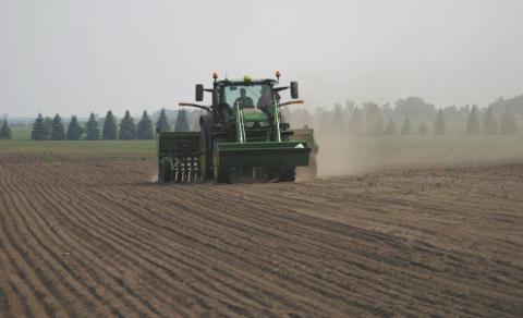 Some area farmers opted to plant pasture grass and cover crops in June, 2023. Photo provided by Josh Anderson.