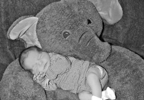 Birth Announcement