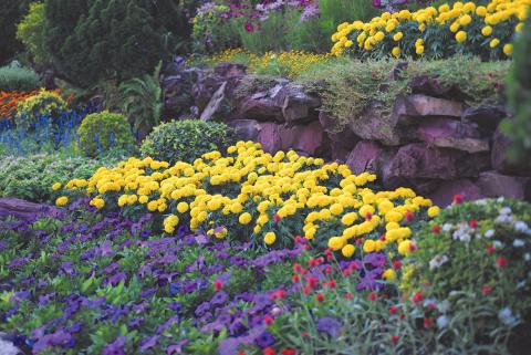 Peace Garden to host tourism summit