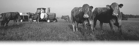 Preserve your grasslands