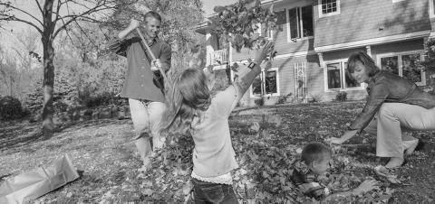 Fall is the most important season for your yard