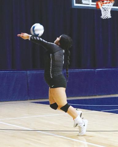 Emily Gonzalez makes a diving dig against the Eagles. Photo by Larry Stokke.