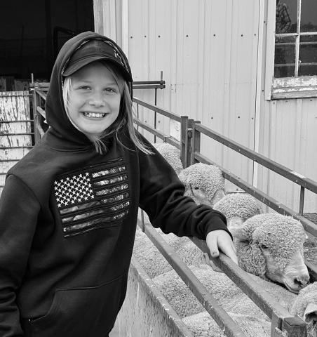 Sheep production offers youth an opportunity to grow a business, learn record keeping and manage finances. NDSU photo