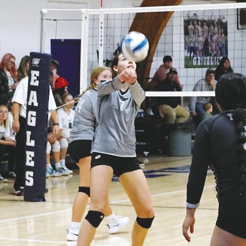 Elizabeth Fedje bumps the ball back over the net against the NB Eagles. Photo by Larry Stokke.
