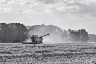 Our modern-day agriculture workers continue to toil to provide food for the world, but in more efficient ways. (Pixabay photo)