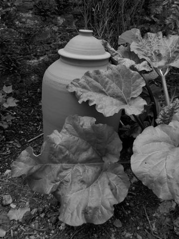 Dakota Gardener: Forcing an early harvest