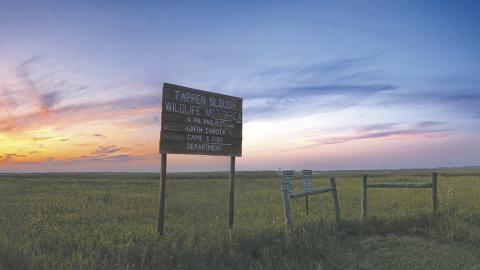 When recreation begins to degrade habitat or push wildlife off the land they depend on, the balance tips. That is why you see specific rules on WMAs. Photo by NDGF