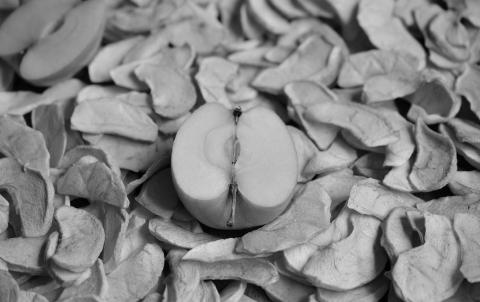 Prairie Fare: Preserving