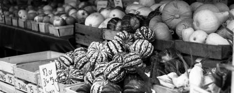 Local foods tend to be more nutritious and flavorful because the food did not travel far to reach you.