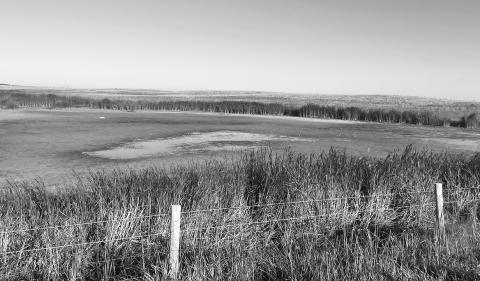 Programs are available to provide financial assistance for livestock water hauling and water development in times of drought. NDSU photo