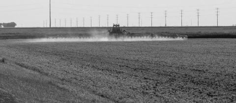 Chlorpyrifos insecticide products legal for insect control in 2024