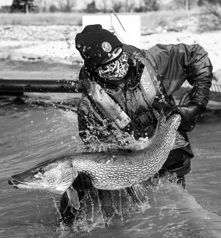 Did you know the Game and Fish Department manages 439 fishable waters which make up 851,462 acres? Submitted photo
