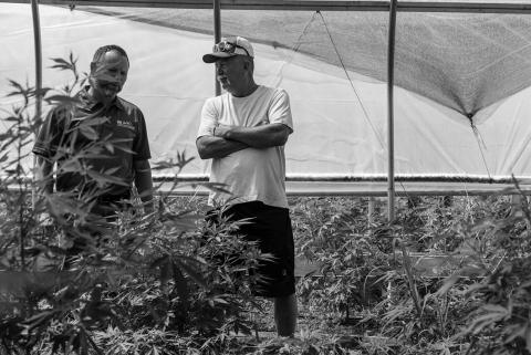 Jeff Garland, right, gives a tour of Papa G’s Organic Hemp Farm in Crawford County, Indiana, on June 23, 2022. Jeff and his son started the farm in 2020. At left is Lee Schnell of the U.S. Natural Resources Conservation Service, which is part of the U.S. Department of Agriculture. (NRCS photo by Brandon O’Connor)