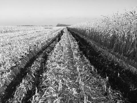 Conference attendees can gain actionable insights to address current compaction issues and develop long-term management strategies. (UMN photo)